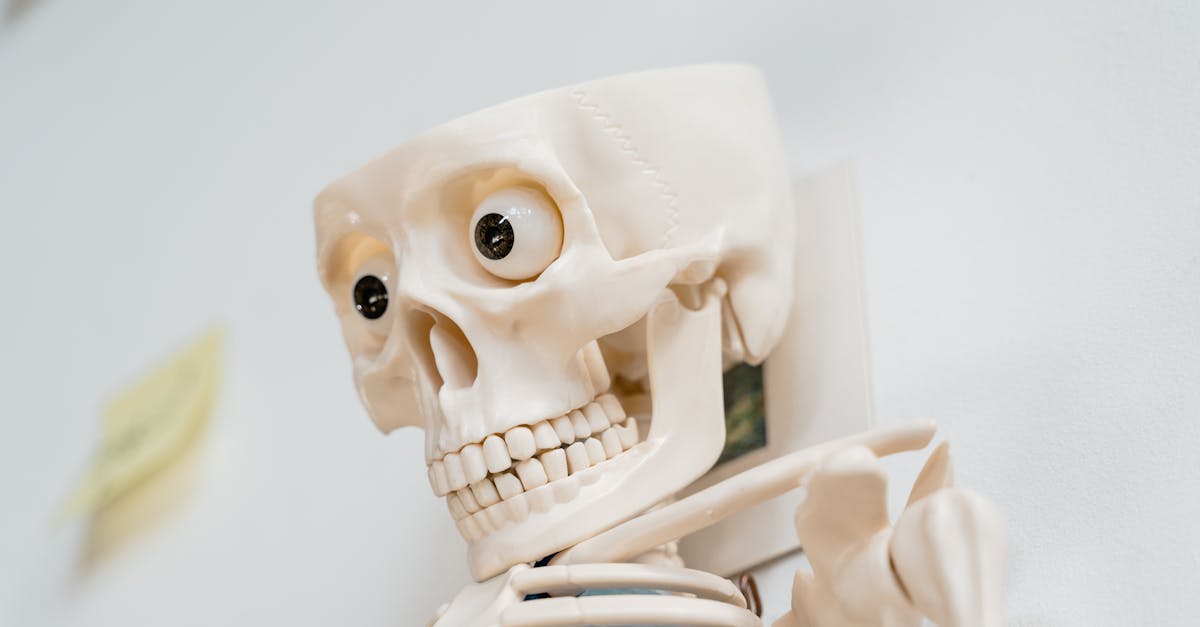 Steps to Achieve AgilePM Certification: A Complete Guide