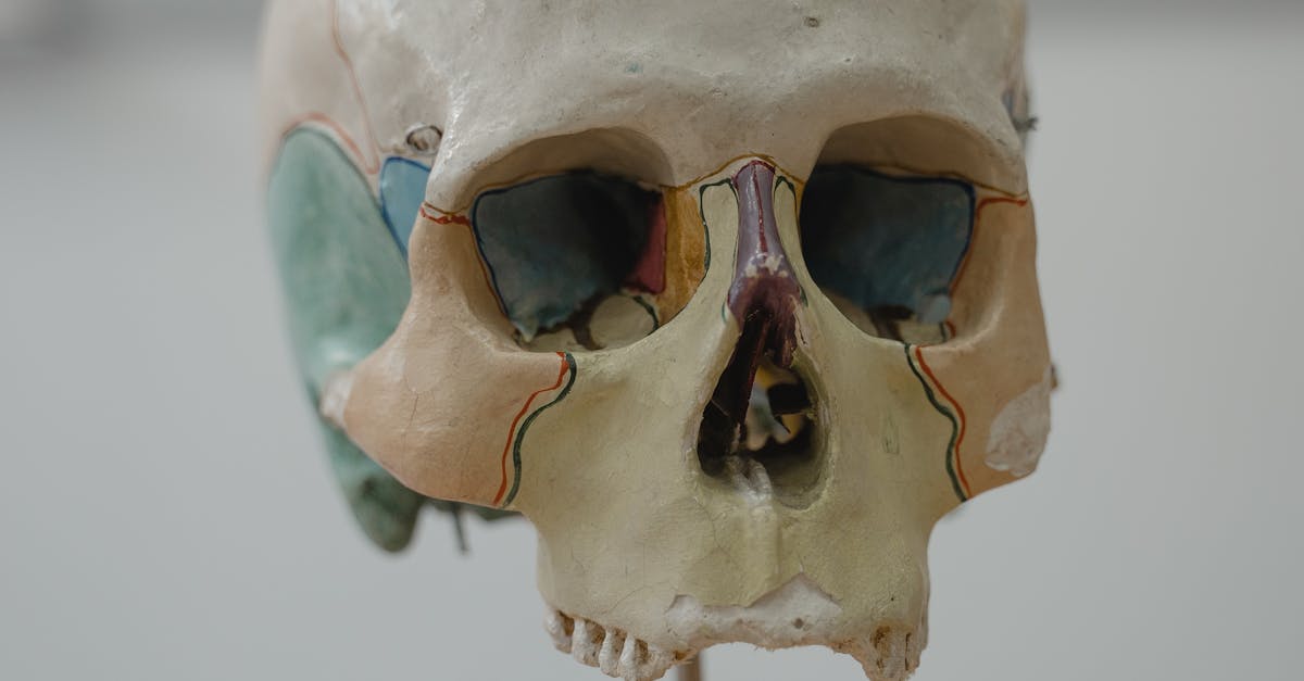 Steps to Achieve Your PMI Agile Certified Practitioner Credential